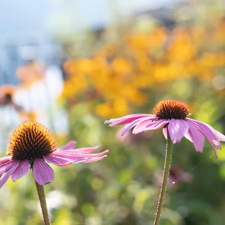 Paradies Tiers am Rosengarten